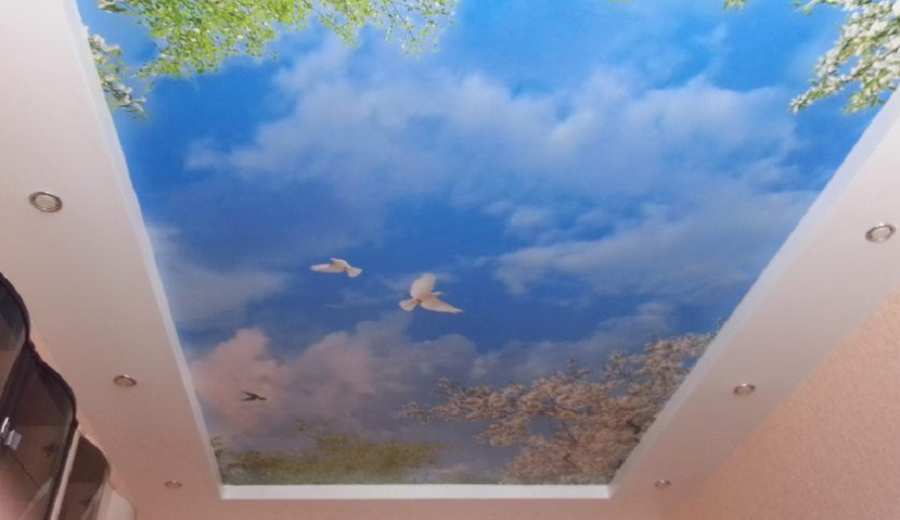 Фотография натяжного потолка с фотопечатью. Рисунок «Белые голуби в небе»
